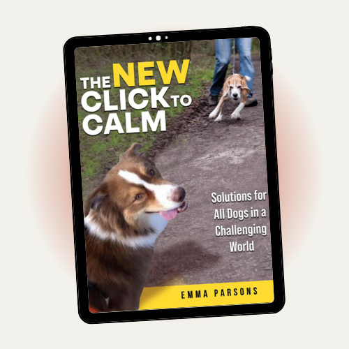 eBook: The New Click To Calm